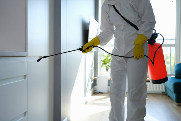 Best Attic Mold Removal  in West Salem, WI
