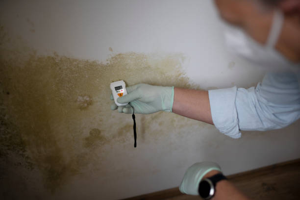 Best Mold Testing  in West Salem, WI