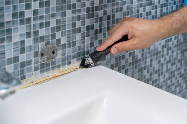 Home Mold Removal in West Salem, WI