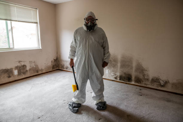 Best Mold Removal and Inspection  in West Salem, WI